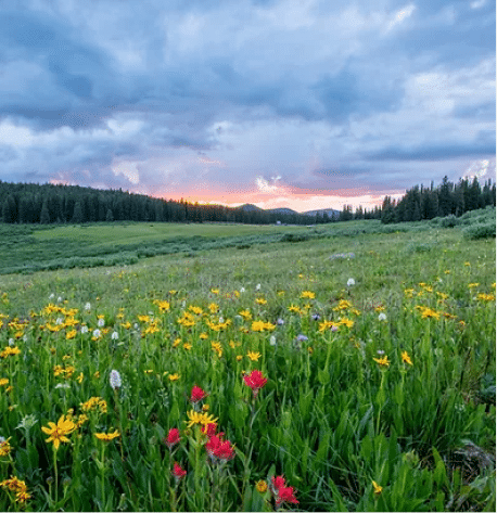 VAIL, COLORADO