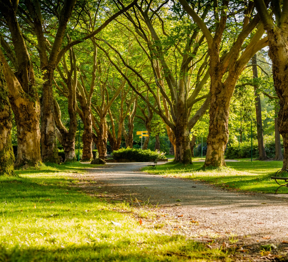 Explore Stanley Park in Vancouver, British Columbia