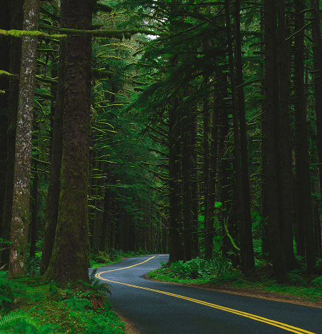 PORTLAND, OREGON