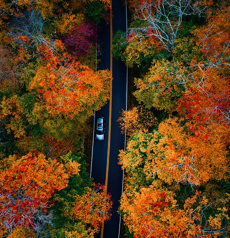 MANCHESTER, VERMONT