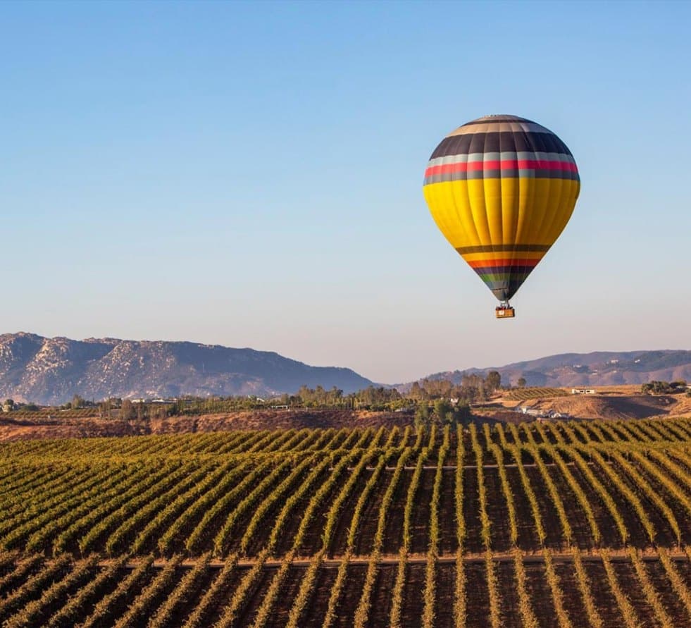 Hot air balloon floating over vineyards at sunrise