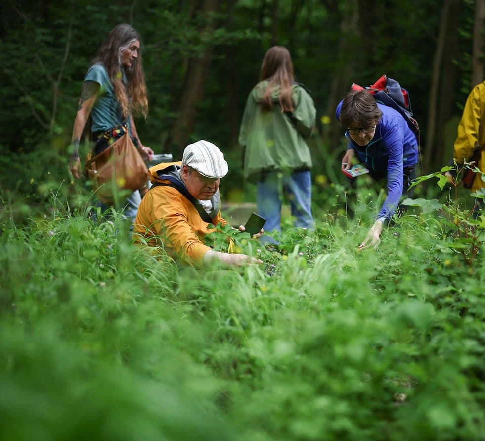 Team foraging in the forest with a naturalist
