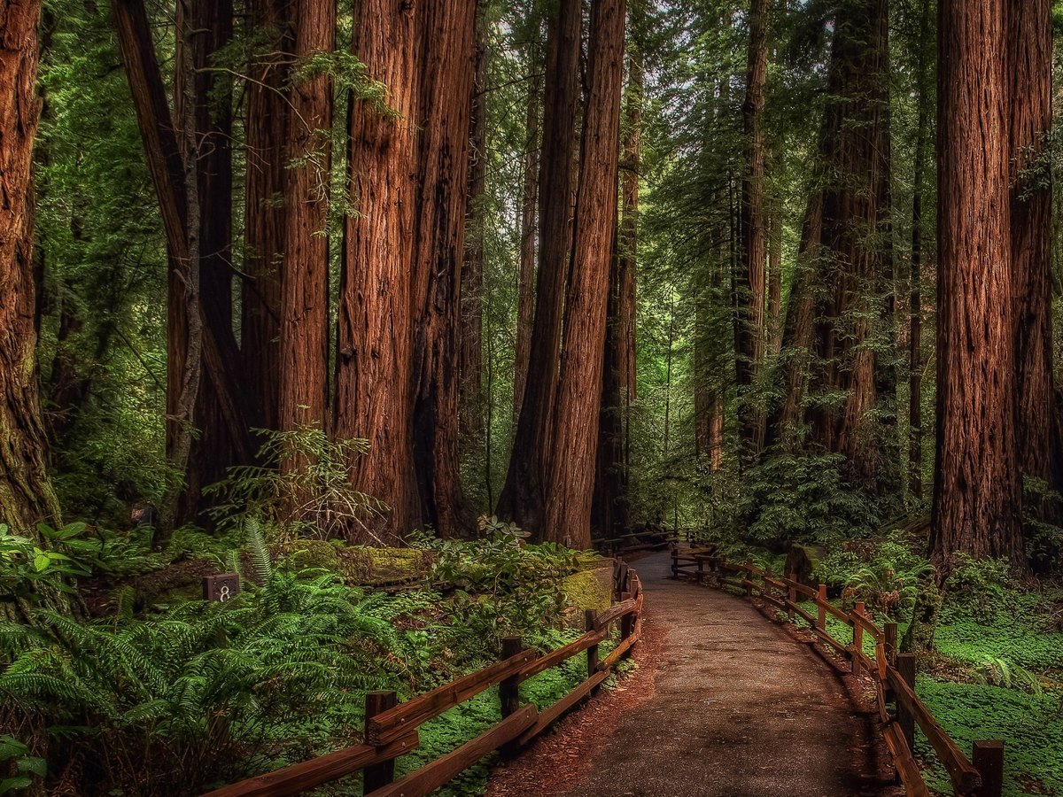 Corporate retreat in Carmel and Big Sur, California