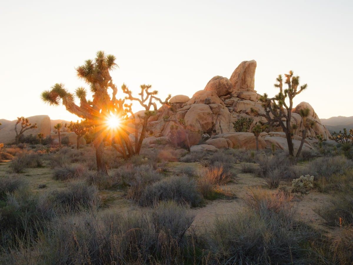 Corporate retreat in Palm Springs and Joshua Tree, California