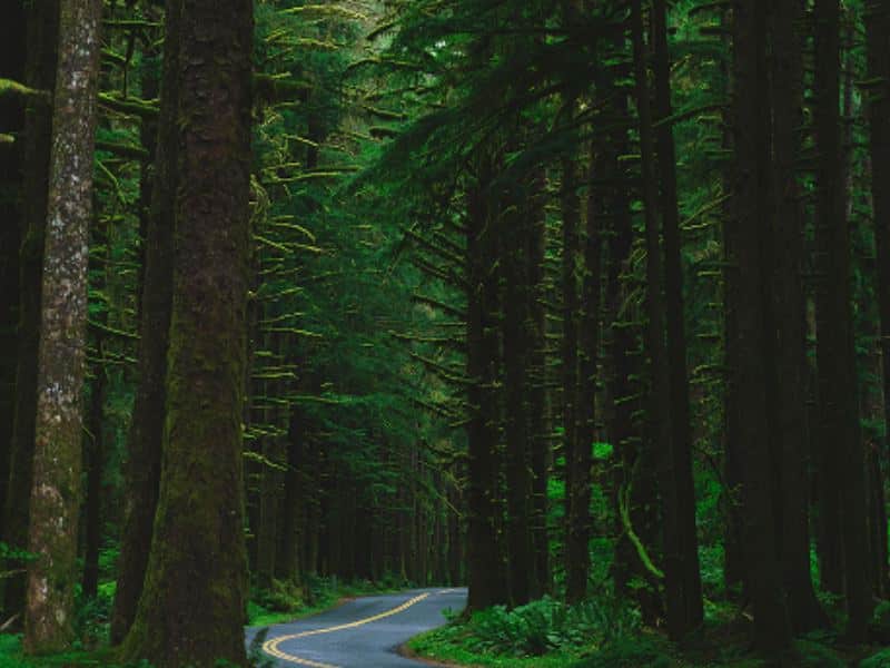 Corporate retreat in Portland, Oregon