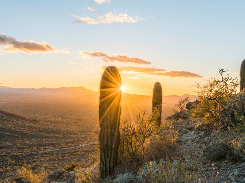 Corporate retreat in Tucson, Arizona