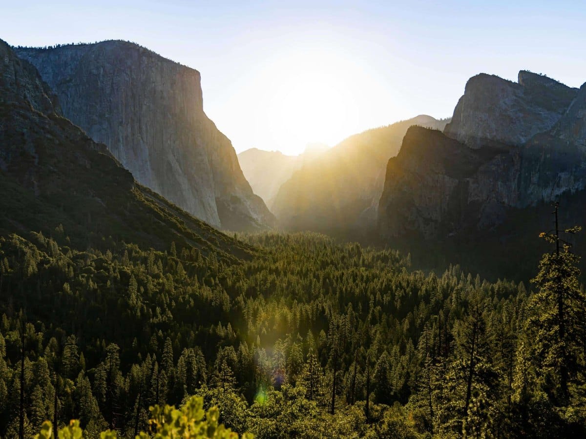 Corporate retreat in Yosemite National Park