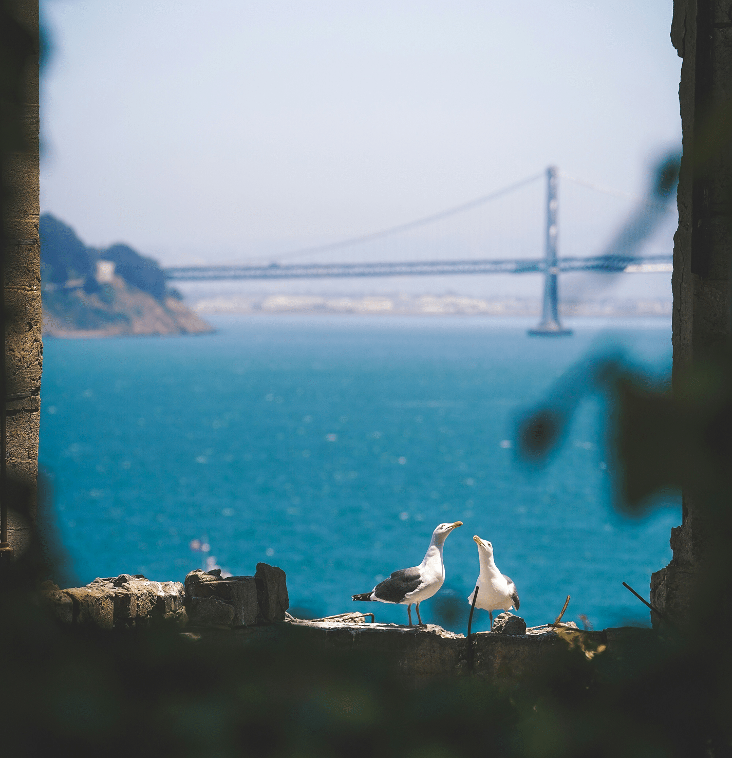 Bay Area, CA