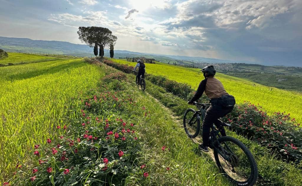 E-bike riders on a grassy ridge trail past wildflowers and cypress trees in Tuscany
