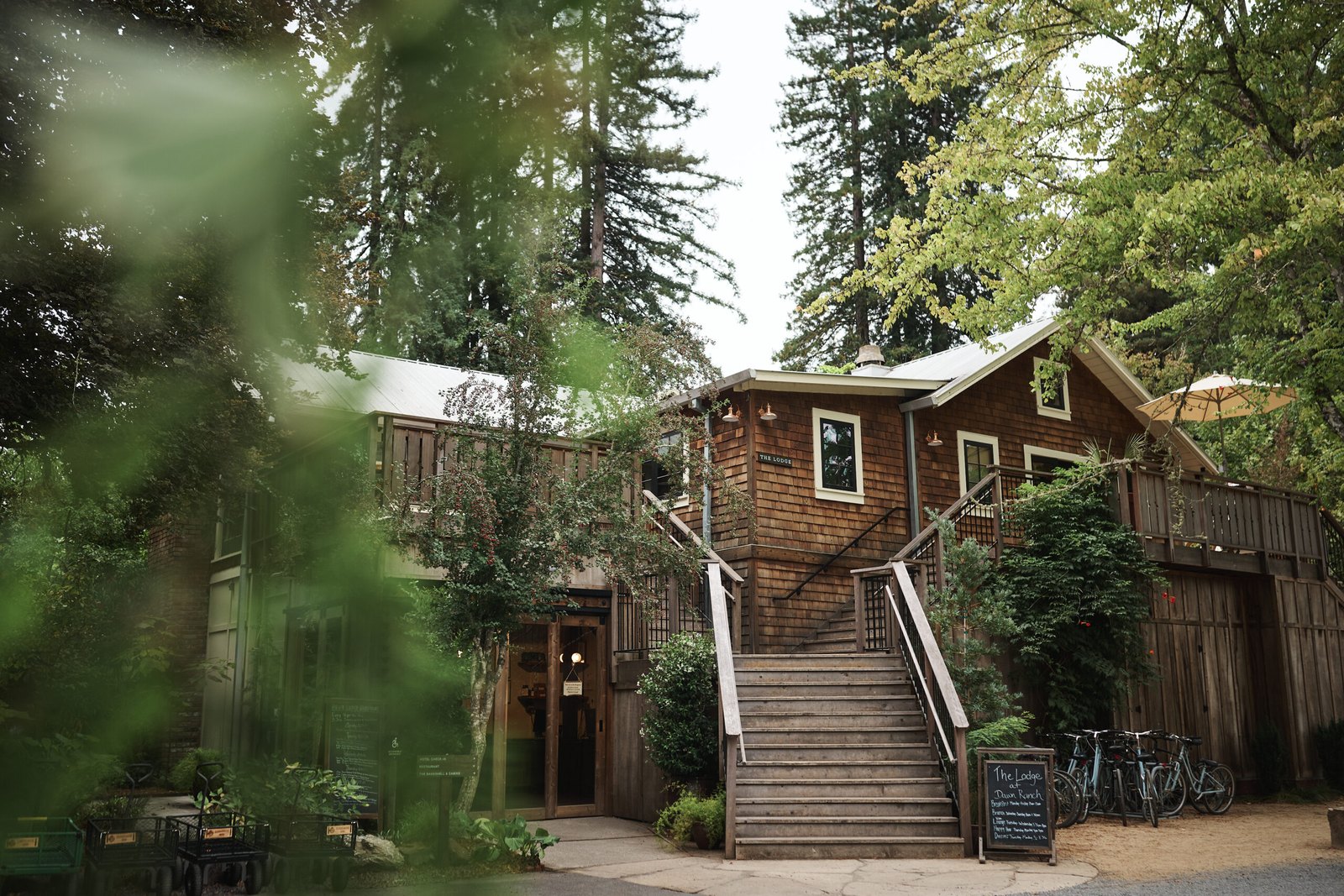 The Lodge at Dawn Ranch among the redwoods