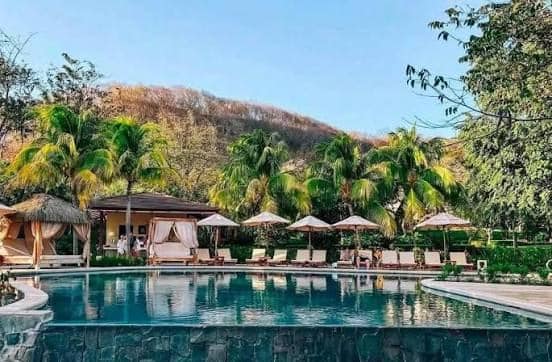 Palm-lined pool at JW Marriott Costa Elena, Guanacaste