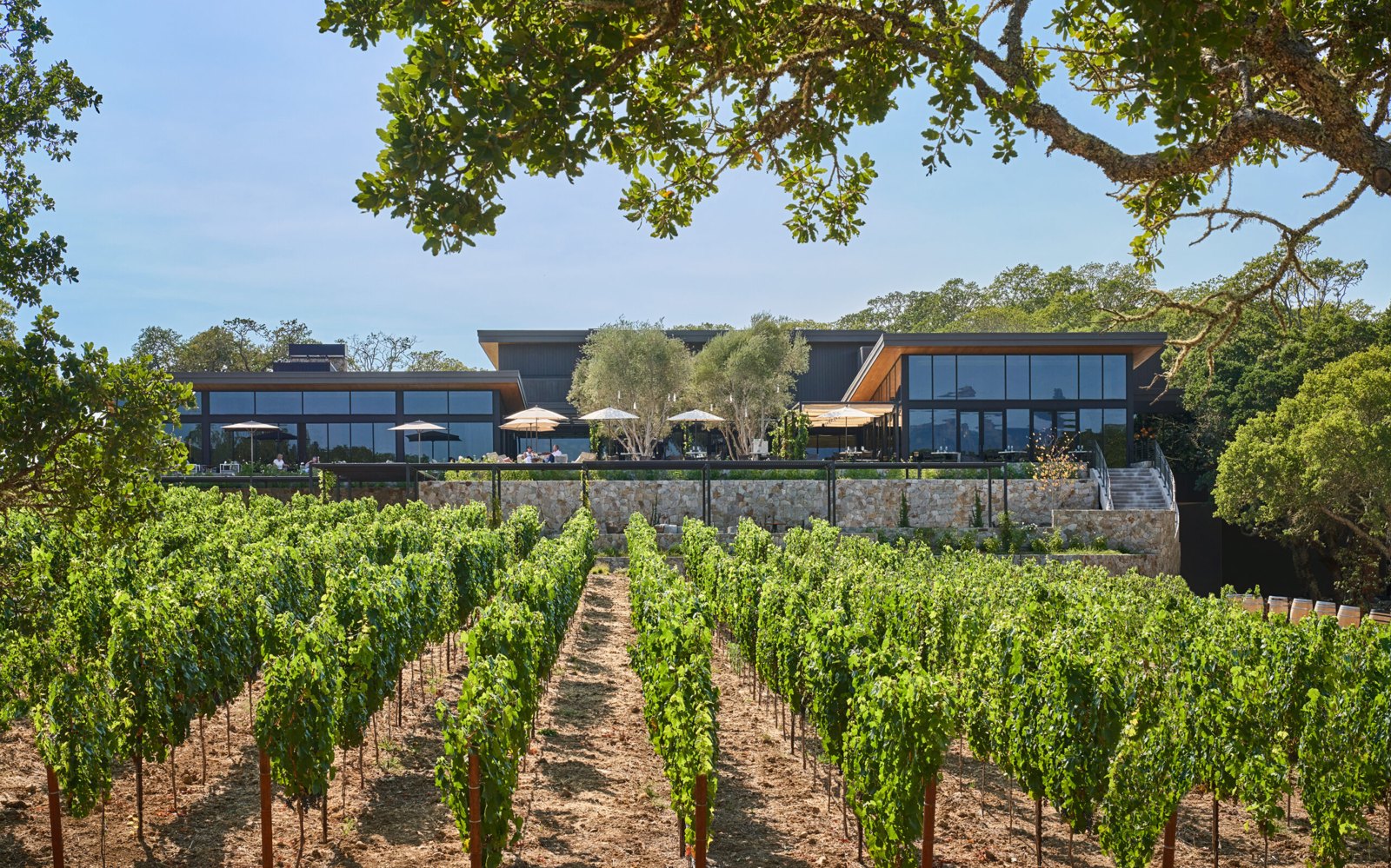 Montage Healdsburg above its vineyard