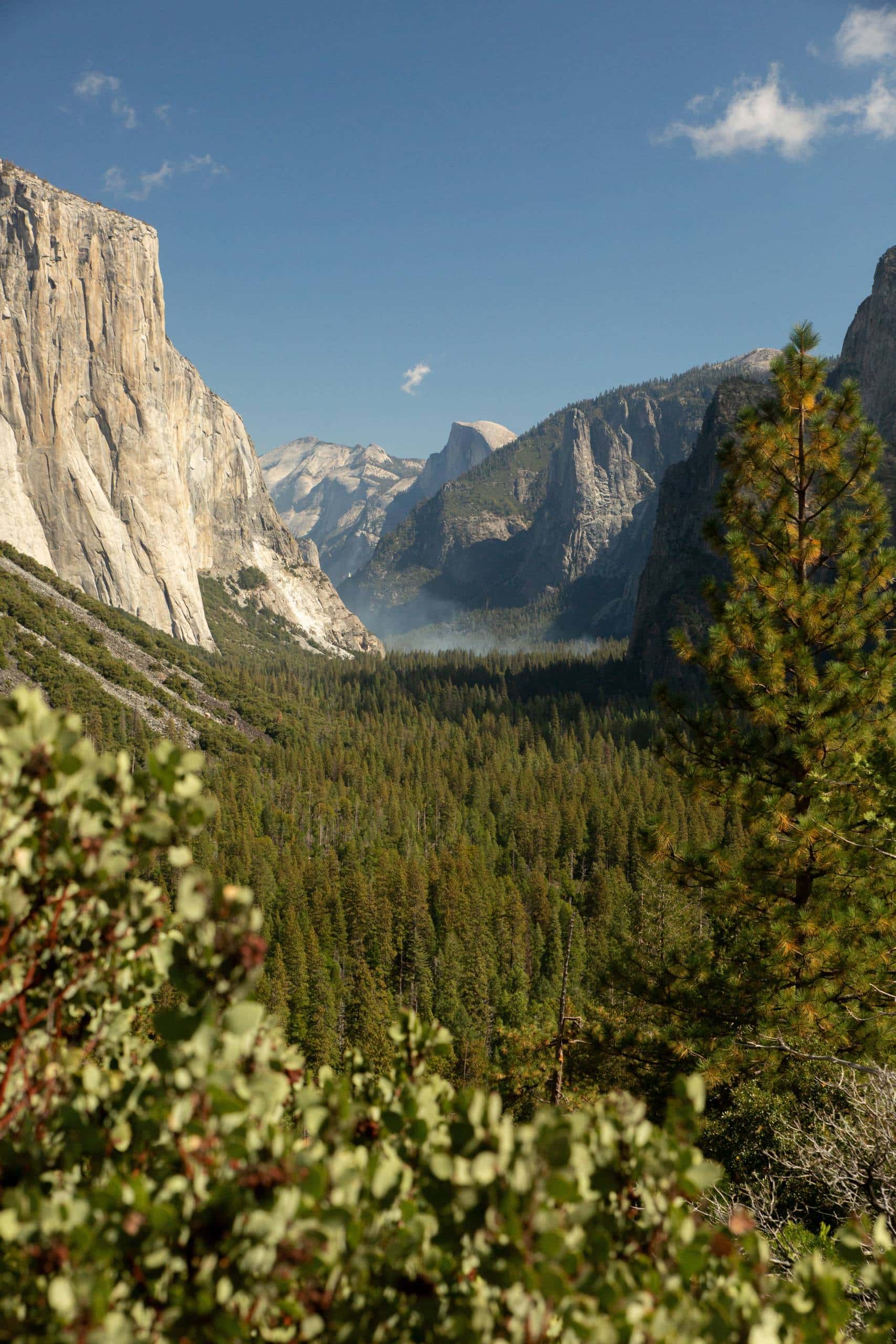 Yosemite, CA